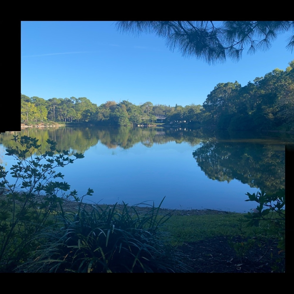 Meet your Posher, Janet